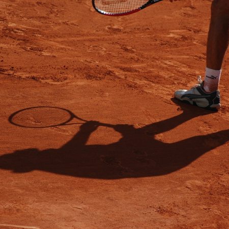 Sinner – Dimitrov (Quarti Finale Roland Garros): dove vederla